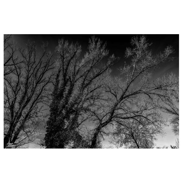 PHOTO84, CLUB, 84 , LUBERON